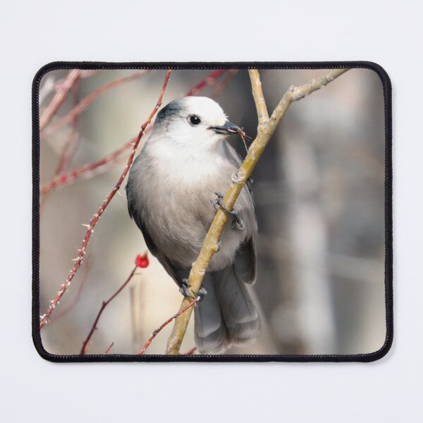 Item preview, A Bug Lunch designed and sold by Alyce Taylor.
