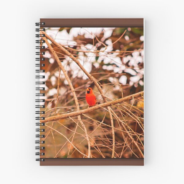 Item preview, Cardinal Caught on Camera designed and sold by jkmbaldwin.
