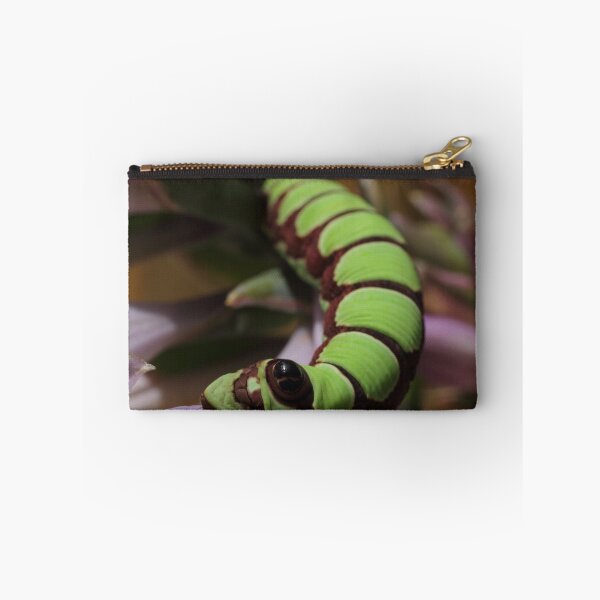 Item preview, Abbott's Sphinx on Hosta flowers  designed and sold by Kane Slater.