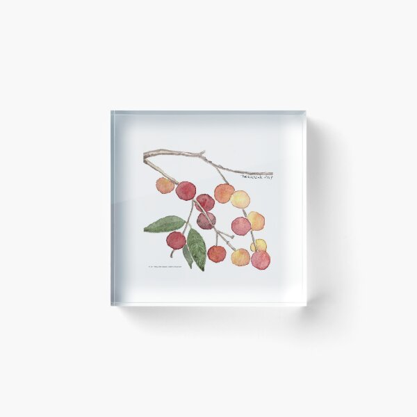 Item preview, Mini Botanical: CamuCamu designed and sold by CreativeTemper.