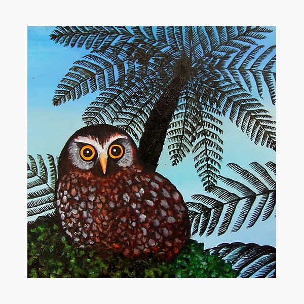 Morepork Photographic Print