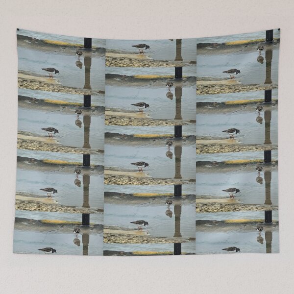 Item preview, Turnstones at the Harbour..Lyme Dorset UK designed and sold by lynn carter.