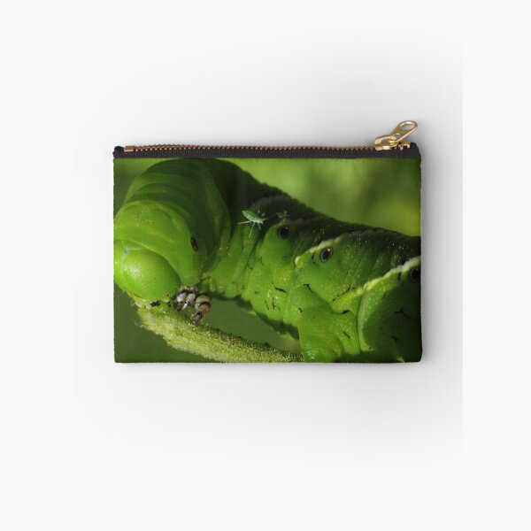 Item preview, Tobacco Hornworm with Aphids  designed and sold by Kane Slater.