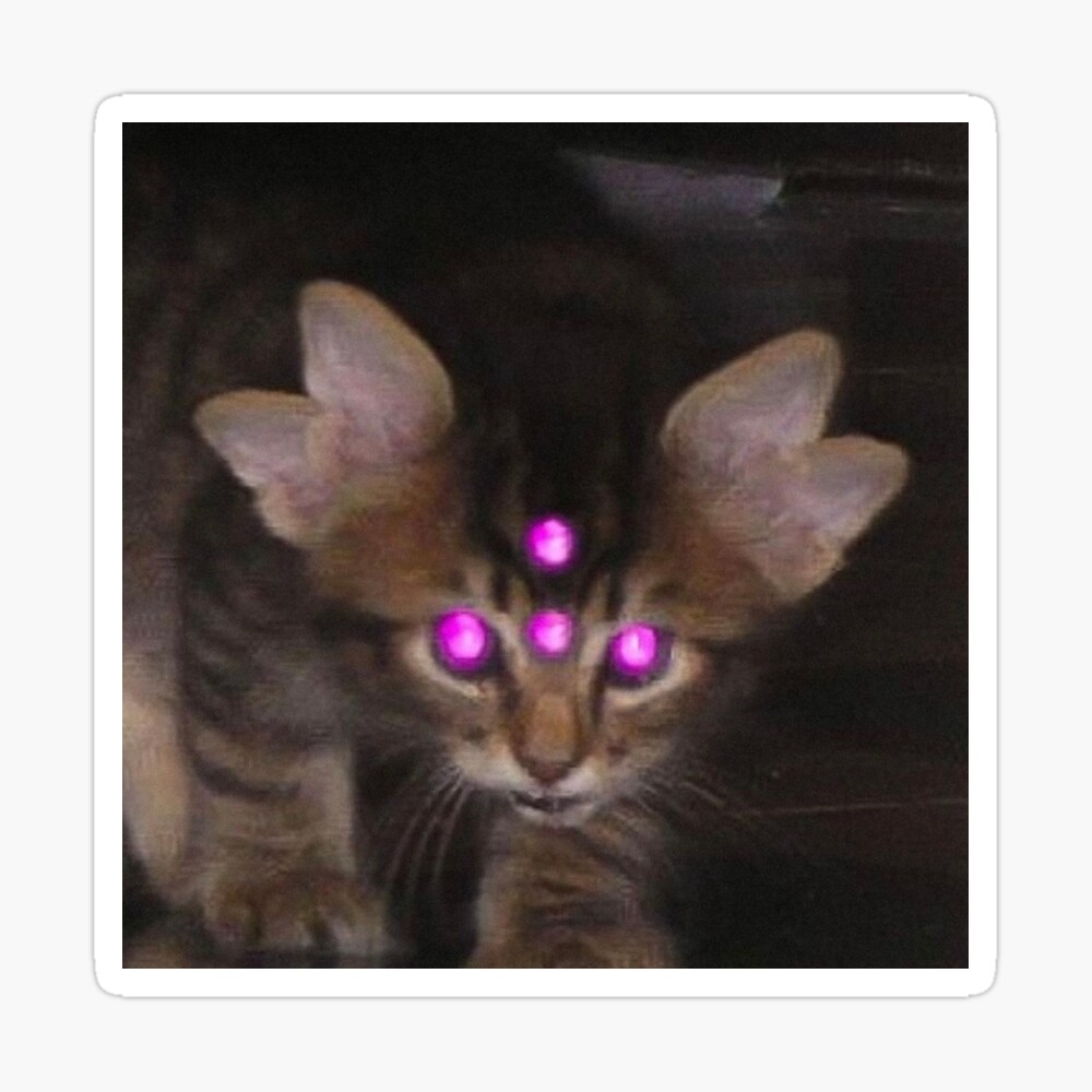 Entity Kitty Sticker - Entity Kitty Backrooms - Discover & Share GIFs