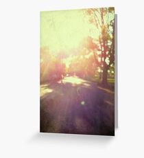 toward spring sun Greeting Card