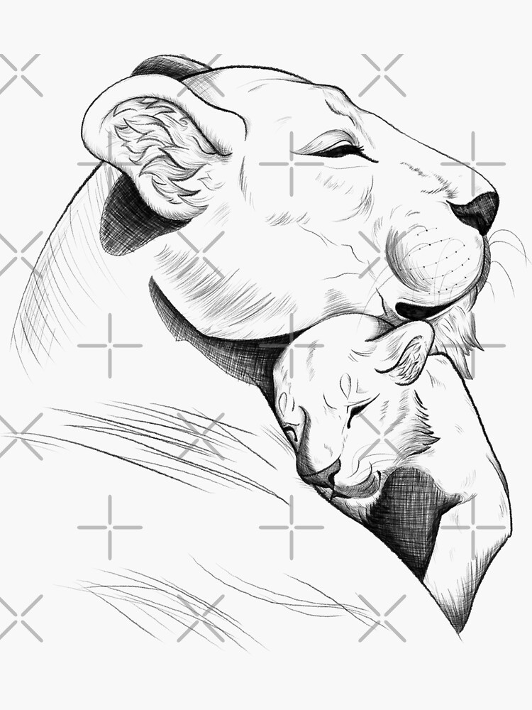 Hand drawn baby lion cub, sketch graphics monochrome illustration on white  background (originals, no tracing Stock Photo - Alamy