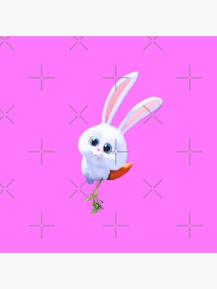 Pets Rabbit Snowball Png Clipart - Cute Mobile Wallpaper Hd,Rabbit Clipart  Png - free transparent png images - pngaaa.com