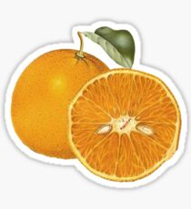 oranges Sticker