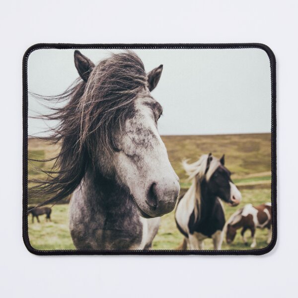 Item preview, Two Beautiful Long Haired Horses in the Field. designed and sold by m313andrade.