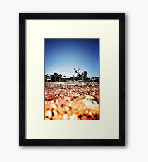 ReBirth Framed Print