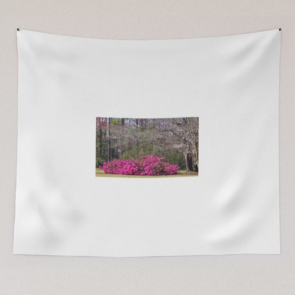 Item preview, Beauty In The Woods designed and sold by Cynthia48.