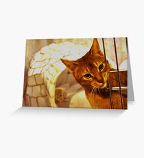 Hello human Greeting Card