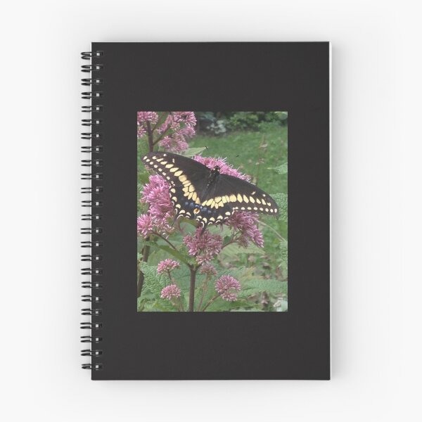 Item preview, Black Swallowtail designed and sold by NguyenTranOner.