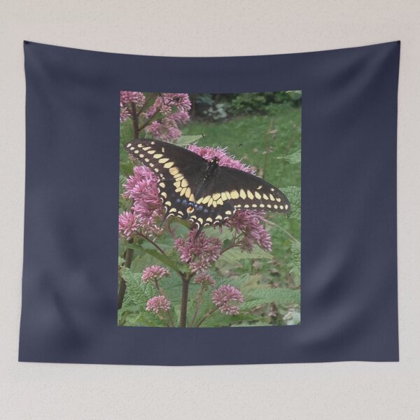 Item preview, Black Swallowtail designed and sold by NguyenTranOner.