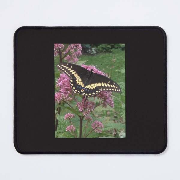 Item preview, Black Swallowtail designed and sold by NguyenTranOner.