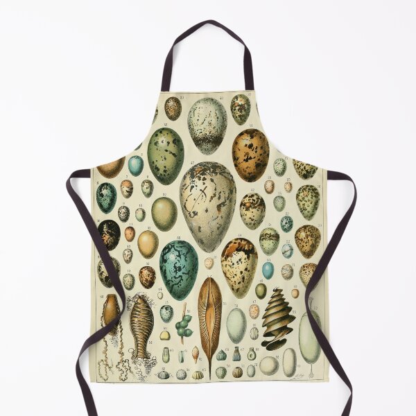 Item preview, Oeufs - Adolphe Millot designed and sold by starrylite.