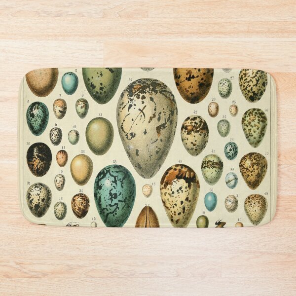 Item preview, Oeufs - Adolphe Millot designed and sold by starrylite.