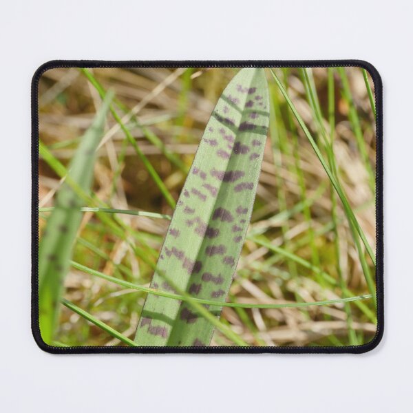 Item preview, spotted green leaf orchis  designed and sold by mrivserg.