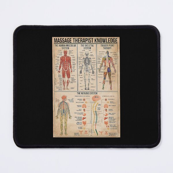 Item preview, Massage Therapist Muscular System art designed and sold by AleehaZenger.