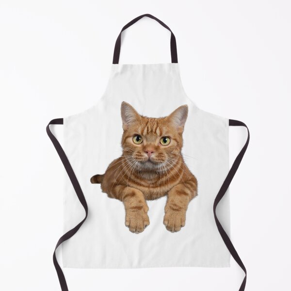 Item preview, very beautiful ginger cat looking at you designed and sold by JAG2B.