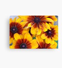 Showy Group Canvas Print