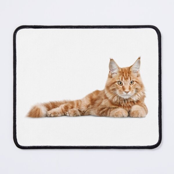 Item preview, ginger cat lying designed and sold by JAG2B.