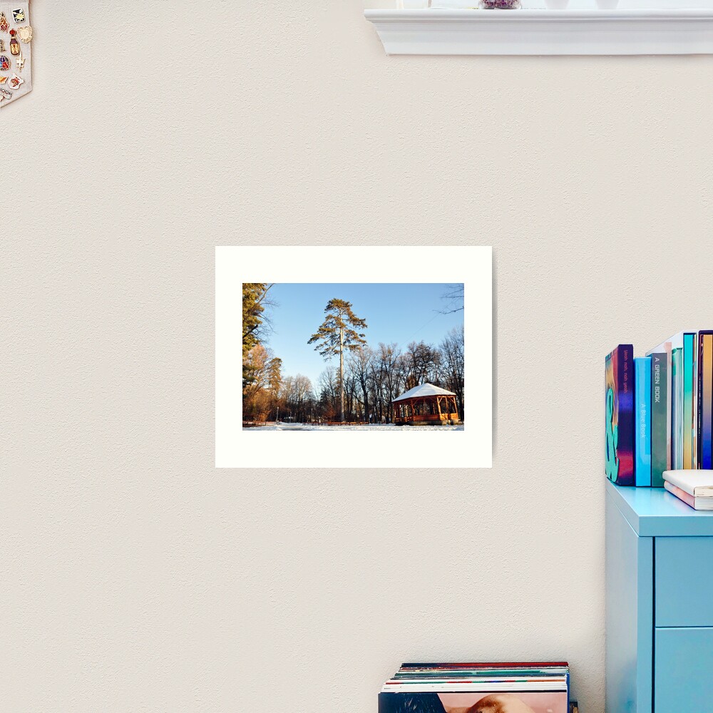 Winter tale Art Print
