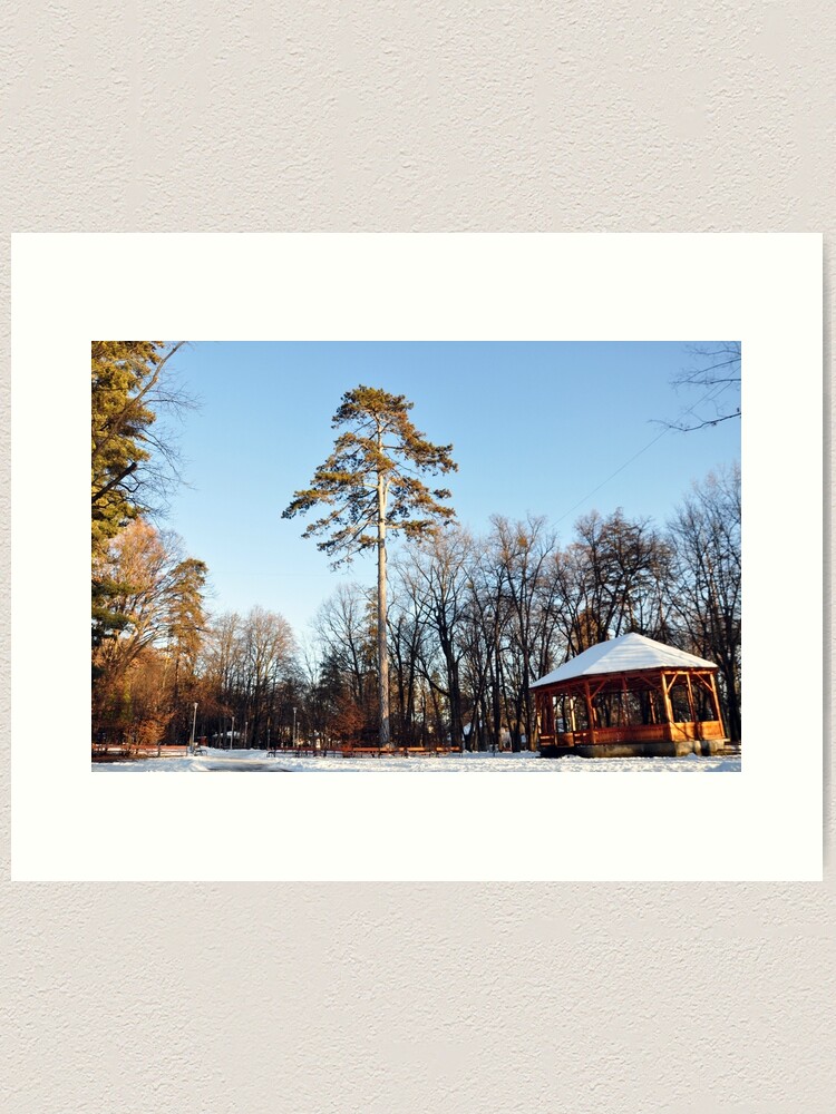 Alternate view of Winter tale Art Print