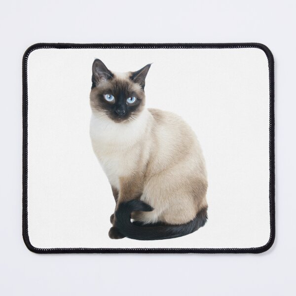 Item preview, beautiful siamese cat sitting designed and sold by JAG2B.