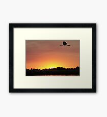 Bye Bye bird Framed Print