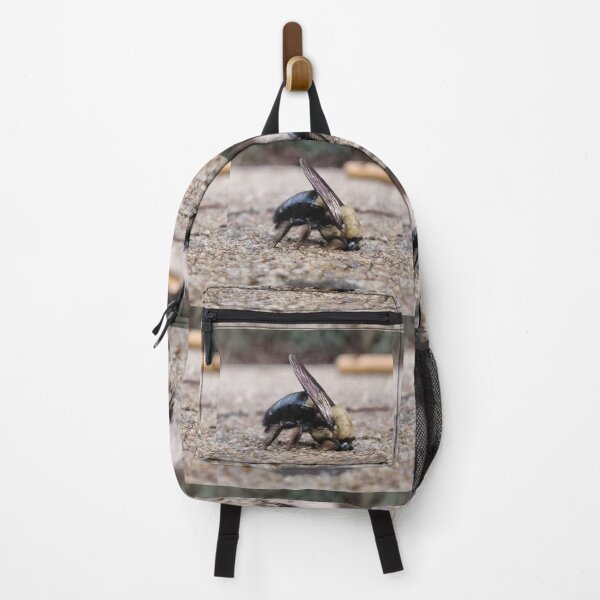 Item preview, Photo of Bee resting designed and sold by Maelyn-Couch.