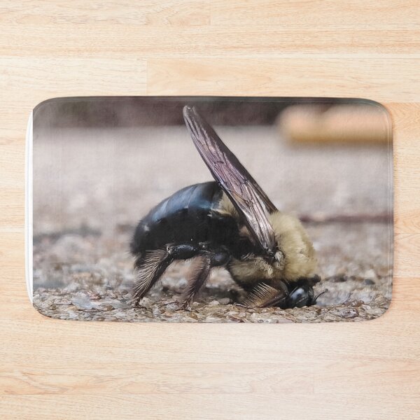 Item preview, Photo of Bee resting designed and sold by Maelyn-Couch.