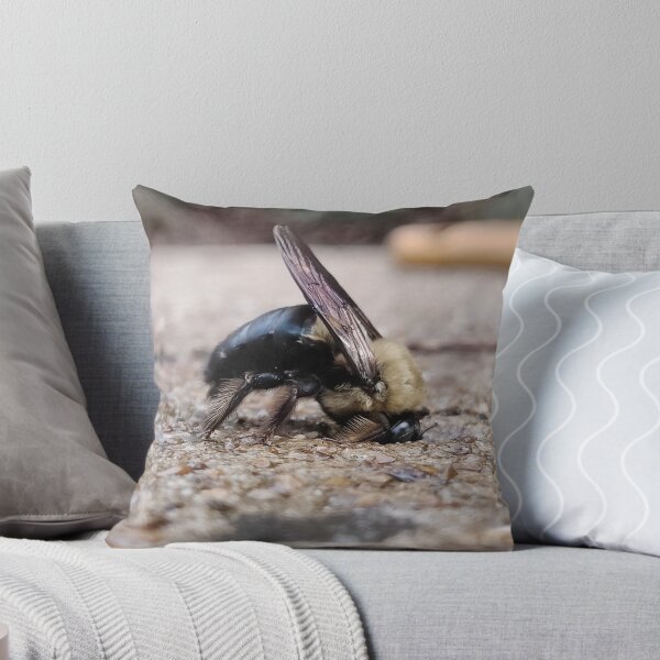 Item preview, Photo of Bee resting designed and sold by Maelyn-Couch.