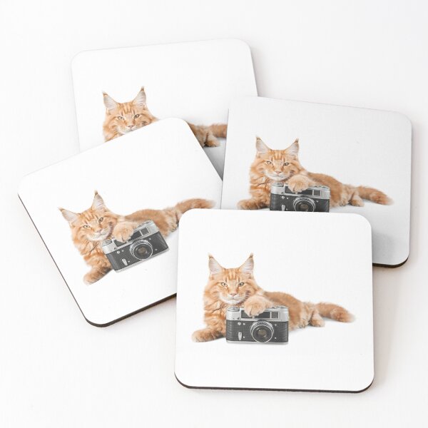 Item preview, ginger cat with camera designed and sold by JAG2B.