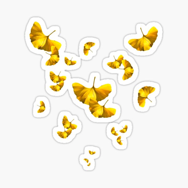 Gingko Sticker