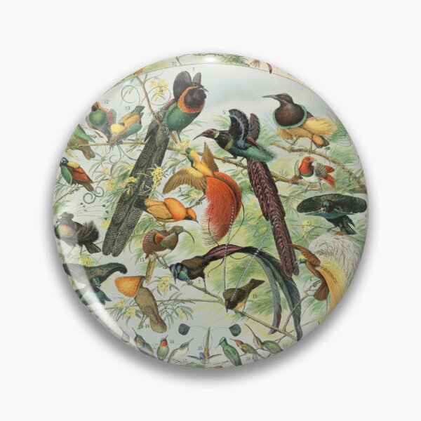 Item preview, Oiseaux B - Adolphe Millot designed and sold by starrylite.