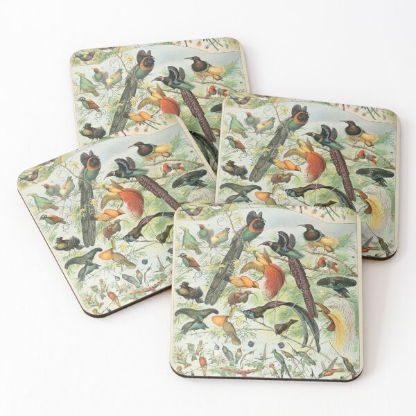 Item preview, Oiseaux B - Adolphe Millot designed and sold by starrylite.