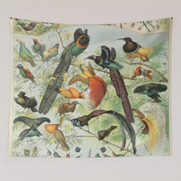 Item preview, Oiseaux B - Adolphe Millot designed and sold by starrylite.