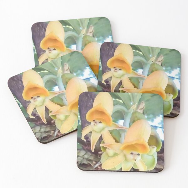 Item preview, Epiphytic Orchids designed and sold by Saiamrita123.