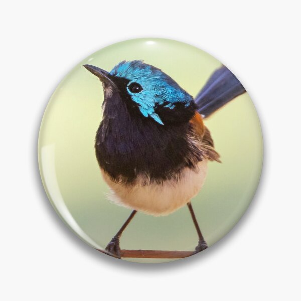 Item preview, Red Winged Fairywren designed and sold by cschester4.