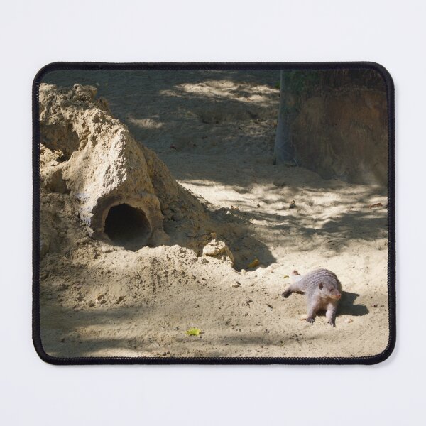 Item preview, A meerkat (Suricata suricatta) with its burrow designed and sold by thelemmingface.