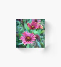 Botanical Acrylic Block