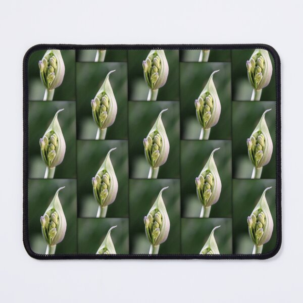 Item preview, Light Of Day designed and sold by coffeebean.