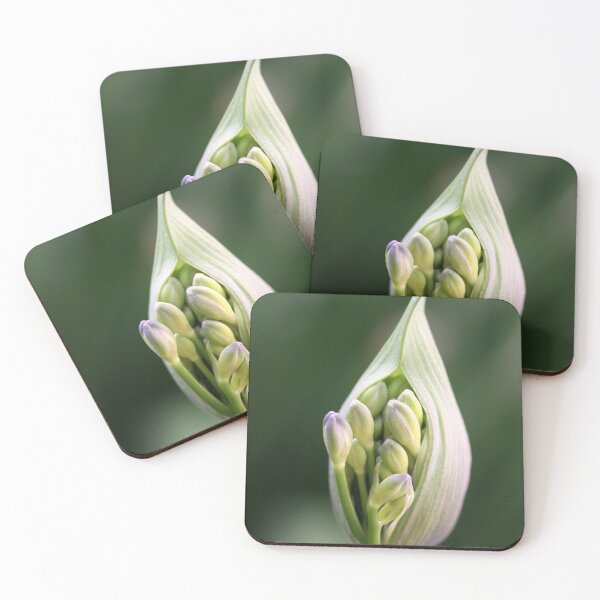 Item preview, Light Of Day designed and sold by coffeebean.