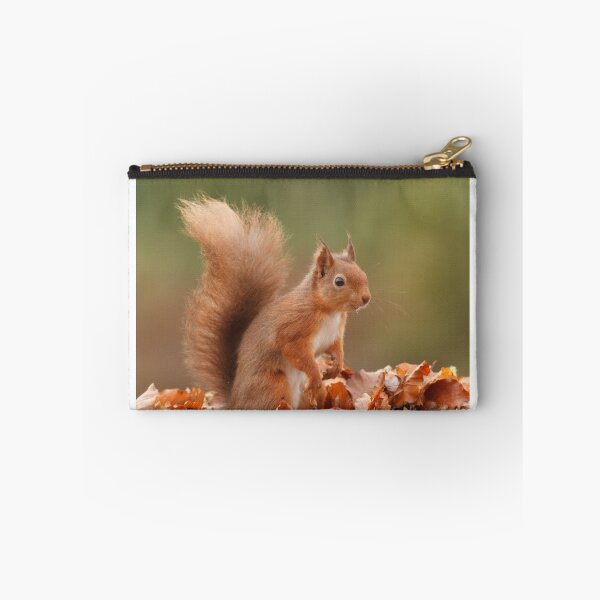 Aperçu de l'œuvre Autumnal red squirrel créée et vendue par blackislehides.