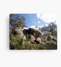 Rock Formations Metal Print