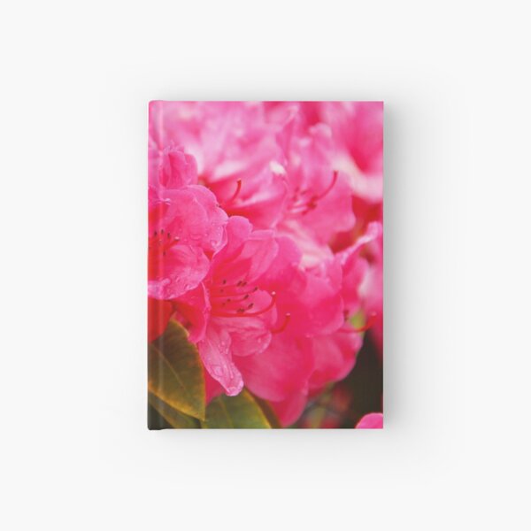 Pink Rhododendrons Hardcover Journal