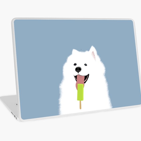 Samoyed dog eating ice cream - colour