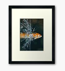 High Speed Framed Print