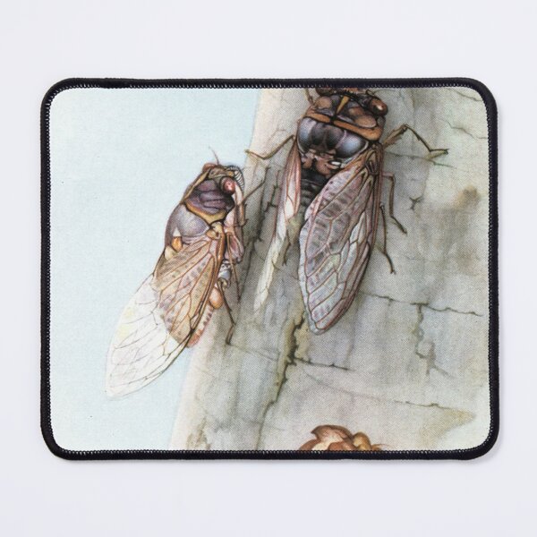 Item preview, Cicadas by Edward Julius Detmold - Vintage Art designed and sold by RickE.
